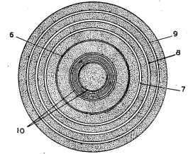 Código de barras circular