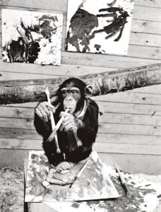 Foto de "Pierre Brassau"